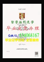 C罗的热火将会排东部悬念揭晓(c罗热身赛)|dt电子中国官网